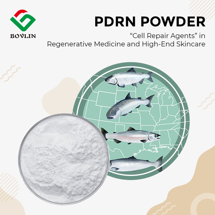 PDRN Powder PDRN Powder